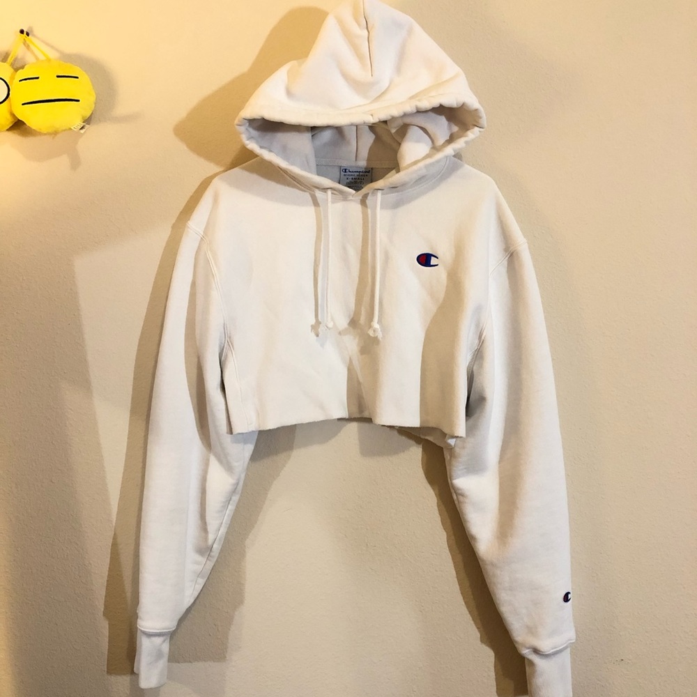 Champion hoodie crop top